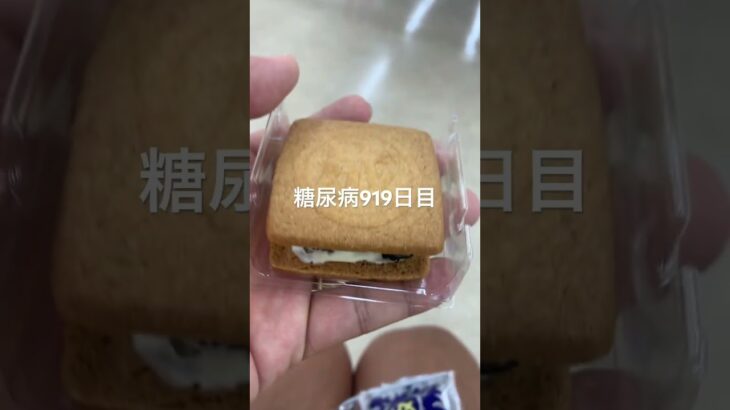 マルセイブルーベリーサンドがすけべすぎた糖尿病919日目食事記録 #バターサンド  #糖尿病の品格 #糖尿病 #心筋梗塞 #血糖値 #hba1c #ダイアベティス