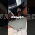 糖尿病食事記録926日目 まるごとバナナ食べて安定