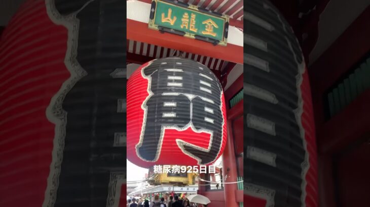 糖尿病食事記録926日目 ﾁｬｯｷﾁｬｷの江戸っ子見たくて浅草と上野と巣鴨と原宿回ってちょこちょこ食べた