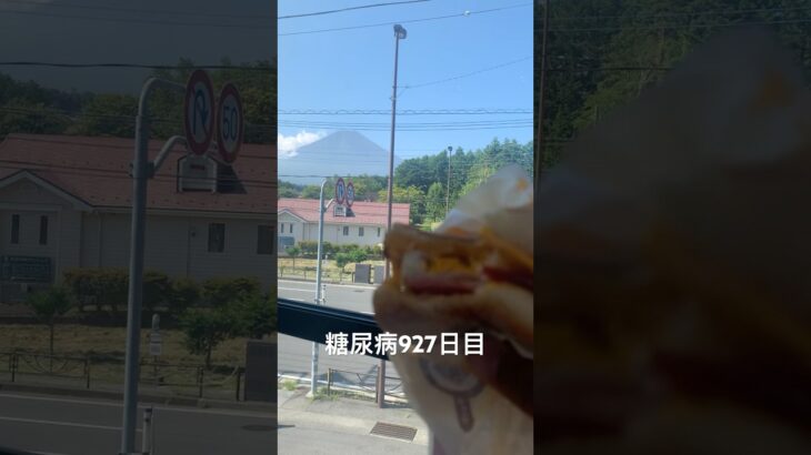 糖尿病全食事記録927日目 富士山見ながら朝マック食えるのここだけでしゅてき