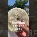 糖尿病全食事記録927日目 野生のおやきは手当たり次第食うがマイルール