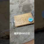 糖尿病全食事記録930日目 八雲せんべい食べた