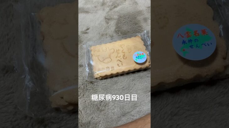 糖尿病全食事記録930日目 八雲せんべい食べた