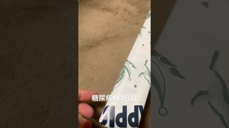 糖尿病全食事記録933日目 トラピストクッキー食べた