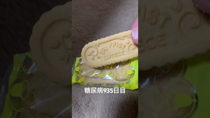 糖尿病全食事記録935日目トラピストクッキー食べた