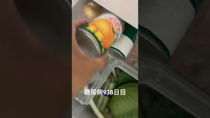 糖尿病全食事記録938日目 リリーの缶詰美味しい