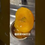 糖尿病全食事記録938日目