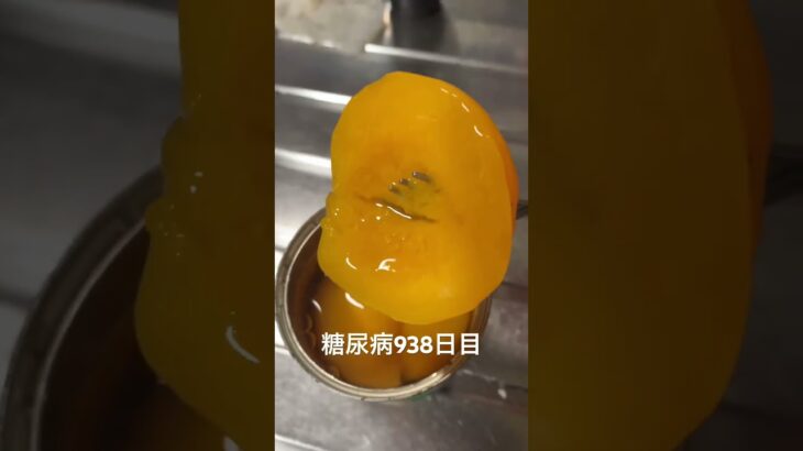 糖尿病全食事記録938日目
