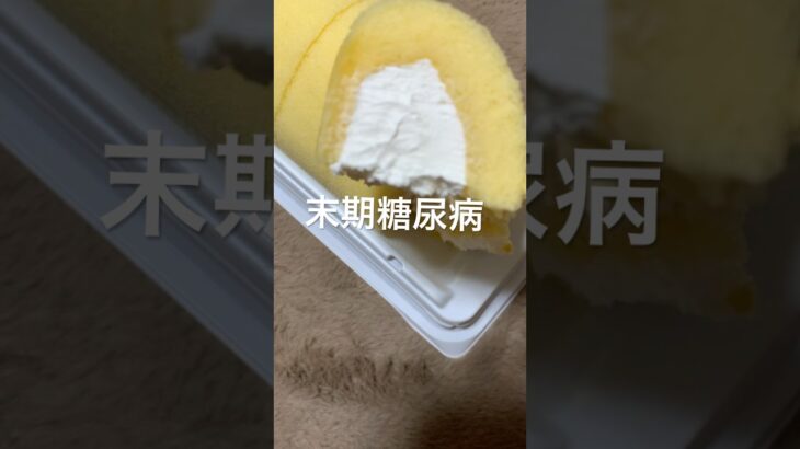 末期糖尿病全食事記録943日目 前日の半額乞食ロールケーキ食べた