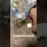 トラピストバター飴を食べた 糖尿病全食事記録943日目