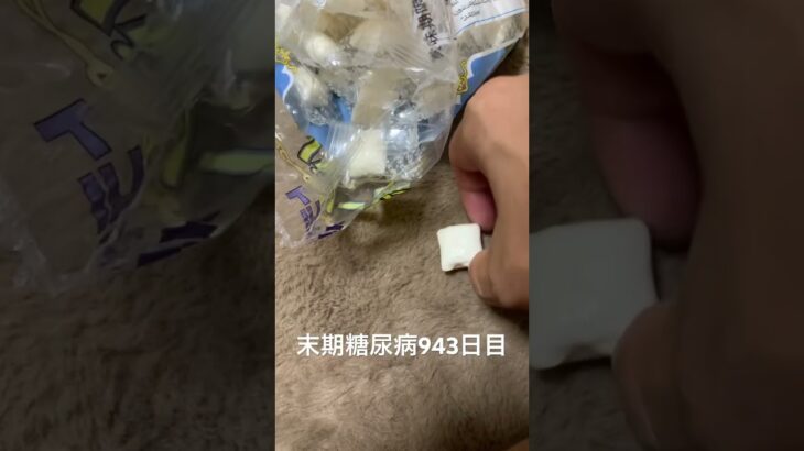 トラピストバター飴を食べた 糖尿病全食事記録943日目