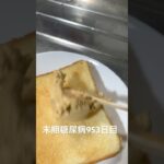 ピーナッツクリームパンから塩バターパンやった 糖尿病全食事記録953日目