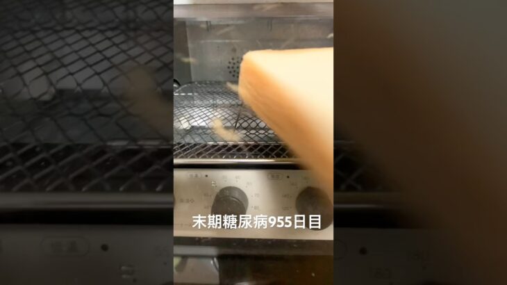 ピーナッツクリームパン食べた 糖尿病全食事記録955日目