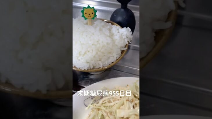 筑前煮とか唐揚げとか食べた 糖尿病全食事記録955日目