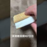 ビスケットアイスを愛すのです🧊 糖尿病全食事記録957日目