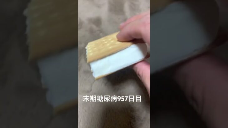 ビスケットアイスを愛すのです🧊 糖尿病全食事記録957日目