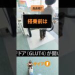 【糖尿病、はじめの一歩】搭乗前の高血糖。とにかく歩いてGLUT4を使う。エスカレーターは無視。IDDMの場合は「どこでもボーラス」でバトル。