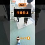 【糖尿病、はじめの一歩】搭乗前の高血糖。とにかく歩く。エスカレーターは無視。IDDMの場合は「どこでもボーラス」でバトル。