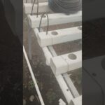 Instalación de mangueras Hidroponía #hidroponia #agricultura #nft #agriculturaurbana #agriculture