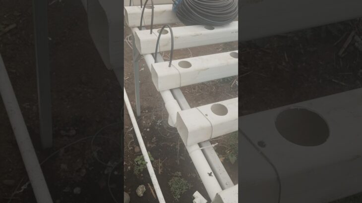 Instalación de mangueras Hidroponía #hidroponia #agricultura #nft #agriculturaurbana #agriculture