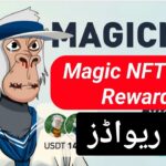 MAGIC NFT NEW UPDATES | MAGIC NFT LEVEL REWARDS DETAILS