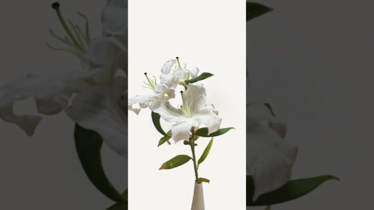 #NFT #ART #FLOWER #opensea #zora #hexa #openseanft #openseaart #zoranft #hexanft