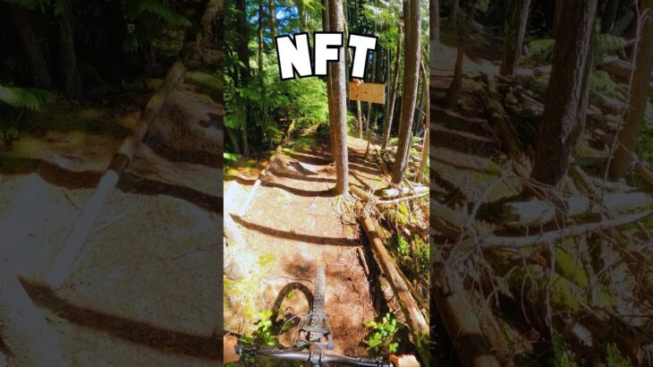 NFT – MTB Trail Highlights #mtb #enduro