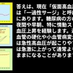 糖尿病・高血圧・脳血管石灰化の組み合わせによる脳卒中リスクの進行 ― VMTエネルギーモデルによる解析
