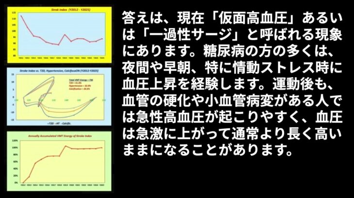 糖尿病・高血圧・脳血管石灰化の組み合わせによる脳卒中リスクの進行 ― VMTエネルギーモデルによる解析