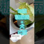 【糖尿病の愛犬のご飯作り】#愛犬 #トイプードル #犬のいる暮らし #糖尿病
