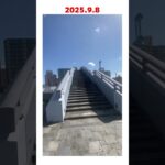 #糖尿病#散歩#札幌#豊平川#幌平橋#中島公園