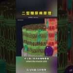 糖尿病真的可以逆转