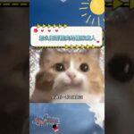 怎么把雪糕卖给糖尿病人！😂 #搞笑視頻 #搞笑日常
