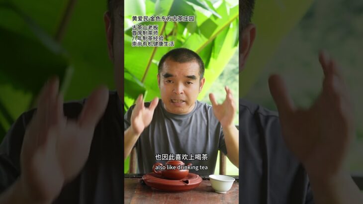 茶叶，谁才是最大的收益者#健康 #高血糖 #糖尿病 #自家茶山