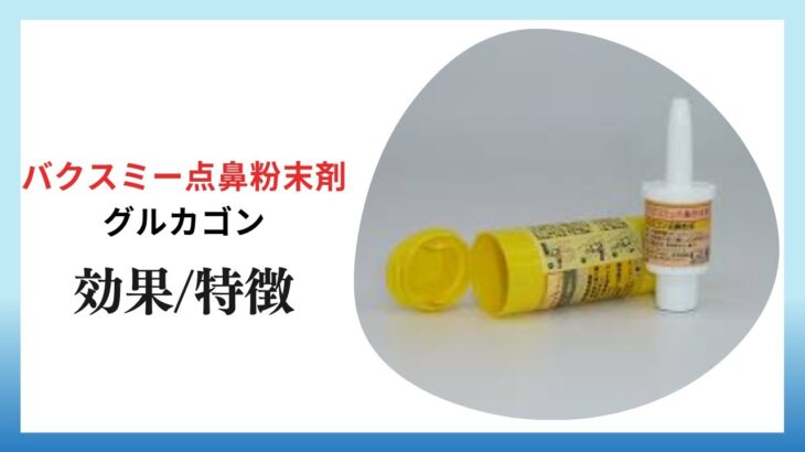【低血糖】バクスミー点鼻粉末剤、グルカゴンの解説【糖尿病】