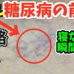 【放置厳禁】太って老化も加速させる糖尿病で起きやすい【細絡】腰振るだけで全身の不調を解消！寝ながら骨盤矯正ストレッチ&セルフケア『ダイエット・老化防止・夜間頻尿・足よくつる・腰痛・股関節痛・動脈硬化』