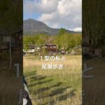 【登山】１型糖尿病の私と尾瀬歩き