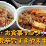 【１型糖尿】今日の昼ご飯の血糖値は？すき家「牛・お食事サラダ」「月見辛旨すきやき牛丼」メガサイズ！！【期間限定】【食レポ】【車中飯】
