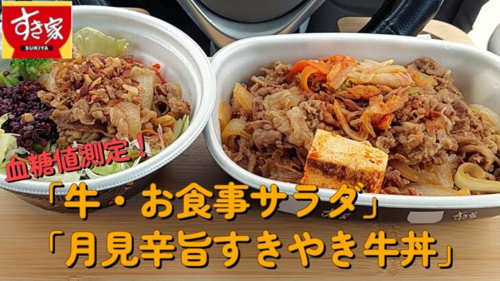 【１型糖尿】今日の昼ご飯の血糖値は？すき家「牛・お食事サラダ」「月見辛旨すきやき牛丼」メガサイズ！！【期間限定】【食レポ】【車中飯】