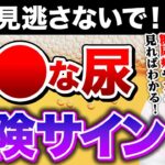 【警告】色・匂い・泡…その”おしっこ”→糖尿病やガンの前兆かも！知らないと命に関わる危険サインを徹底解説
