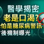 【醫學揭密】老是口渴？恐怕是糖尿病警訊！背後機制曝光！