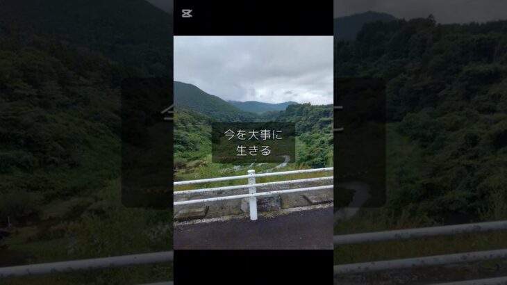 毎日を噛み締めて生きたい自閉症と糖尿病のおんな。