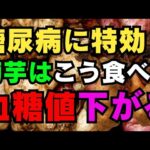 糖尿病に特効！菊芋はこう食べてこそ血糖値がぐんと下がる