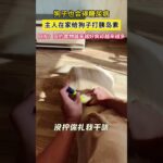 原來狗子也有糖尿病，第一次見給狗子打胰島素 #搞笑 #共鳴 #大熱門