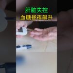 糖尿病誘因：肝臟糖輸出失控