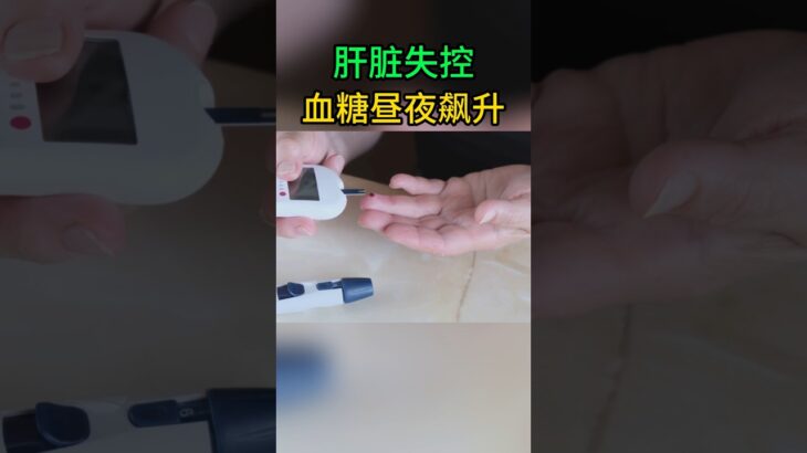 糖尿病誘因：肝臟糖輸出失控