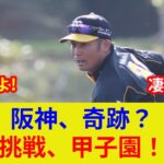 “岩田稔、1型糖尿病の子に野球教室開催！歴史的イベントか？”