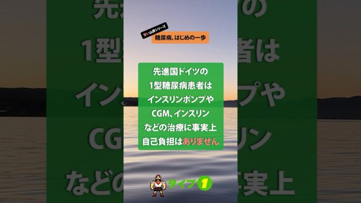 ドイツの1型糖尿病治療の自己負担は？あなたのは？