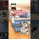 【1型糖尿病】について解説してみた！ #猫マニ #猫ミーム  #cat  #と1型糖尿病　#自己免疫疾患