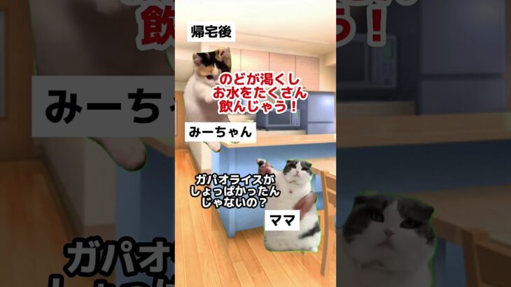 【1型糖尿病】について解説してみた！ #猫マニ #猫ミーム  #cat  #と1型糖尿病　#自己免疫疾患
